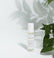 cuccio-somatology-calm-huile-roll-on-mains-corps-lavande image 2